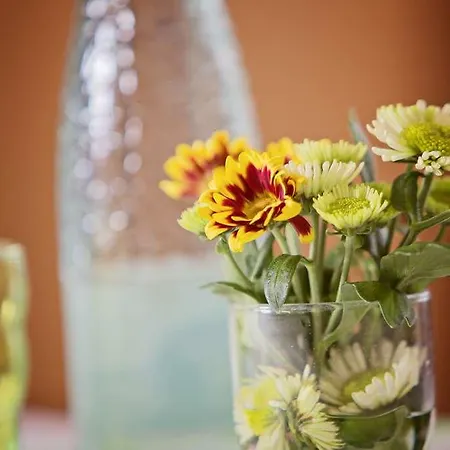 Yit Ciudad De Hotel 3*